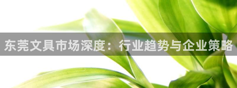 j9九游會(huì )官網(wǎng)：東莞文具市場(chǎng)深度：行業(yè)趨