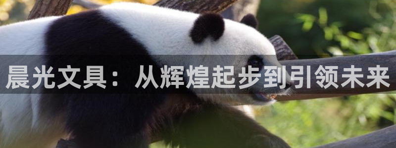 ag九游會(huì )官方登陸：晨光文具：從輝煌起步