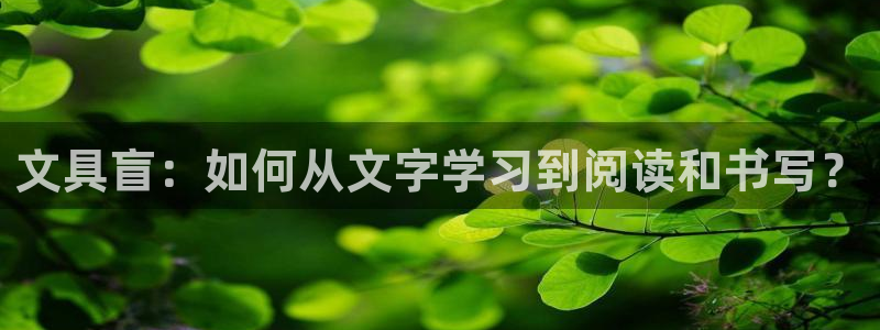 ag九游會(huì )網(wǎng)址大全：文具盲：如何從文字學(xué)