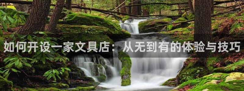 九游會(huì )黑款：如何開(kāi)設一家文具店：從無(wú)到有