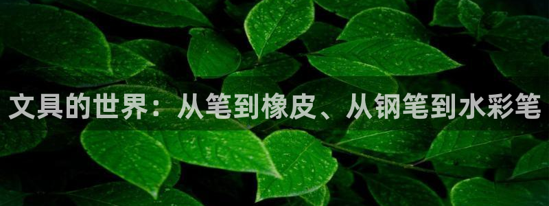 九游游樂(lè )會(huì )：文具的世界：從筆到橡皮、從鋼