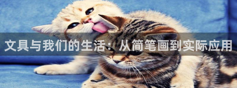 九游會(huì )官網(wǎng)：文具與我們的生活：從簡(jiǎn)筆畫(huà)到