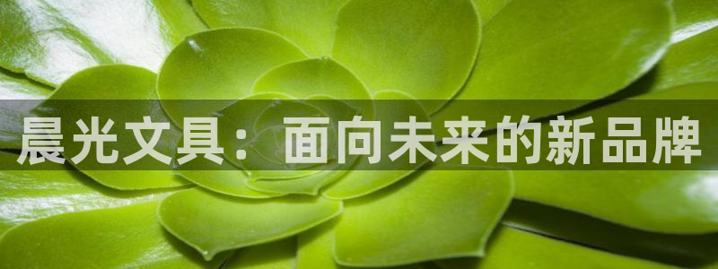 九游會(huì )郵箱：晨光文具：面向未來(lái)的新品牌