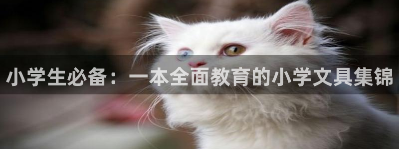 九游會(huì )手機app：小學(xué)生必備：一本全面教