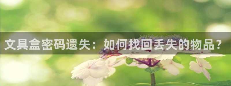 九游會(huì )aj亞州：文具盒密碼遺失：如何找回