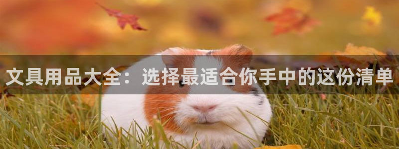 九游會(huì )體育官方：文具用品大全：選擇最適合