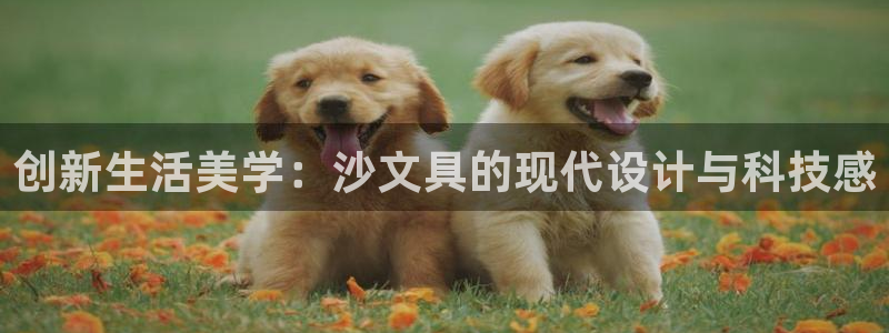 九游會(huì )倒閉：創(chuàng  )新生活美學(xué)：沙文具的現代設