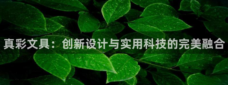 九游會(huì )登錄最強版本答案：真彩文具：創(chuàng  )新設