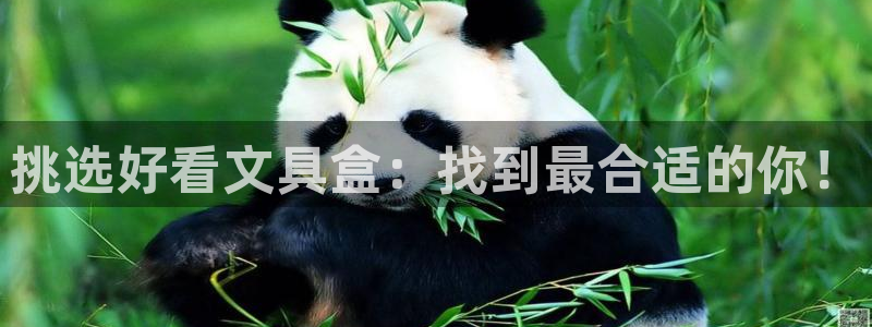 九游會(huì )官網(wǎng)入口：挑選好看文具盒：找到最合