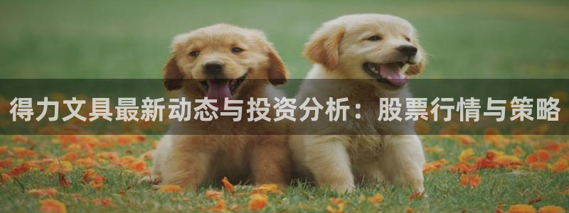 九游會(huì )app 下載：得力文具最新動(dòng)態(tài)與投