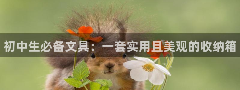 j9九游會(huì )舊版：初中生必備文具：一套實(shí)用