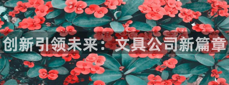 AG更名九游會(huì )：創(chuàng  )新引領(lǐng)未來(lái)：文具公司新