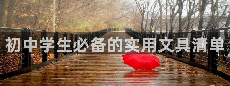 九游貴賓會(huì )：初中學(xué)生必備的實(shí)用文具清單