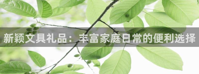 九游會(huì )人口：新穎文具禮品：豐富家庭日常的