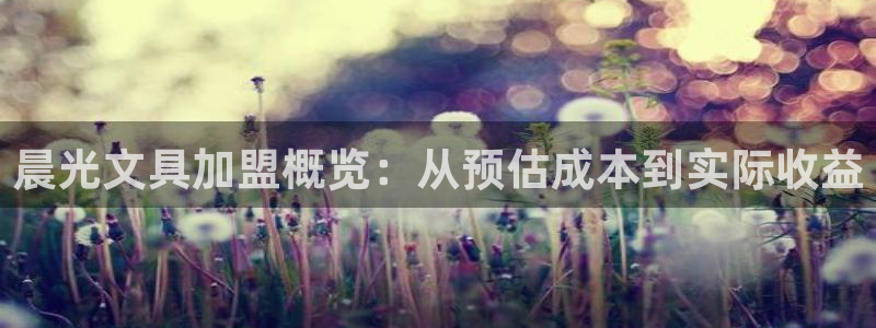 jy9九游會(huì )：晨光文具加盟概覽：從預估成