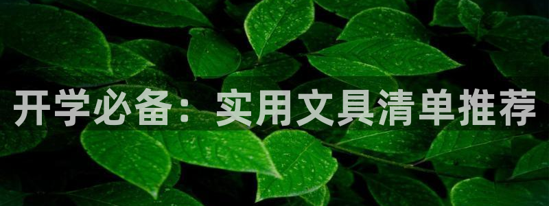 九游會(huì )數字貨幣平臺：開(kāi)學(xué)必備：實(shí)用文具清