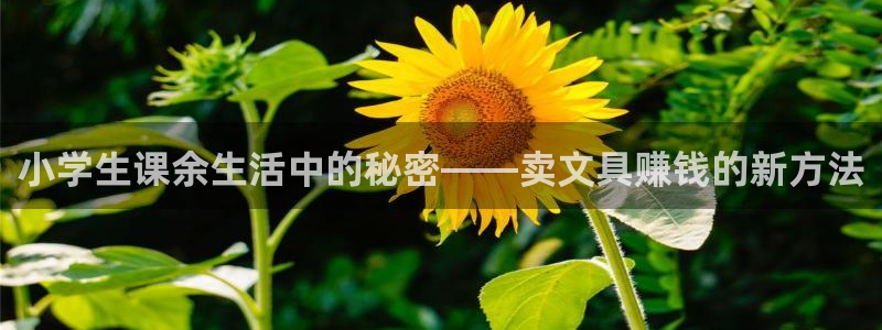 九游會(huì )國際集團：小學(xué)生課余生活中的秘密—