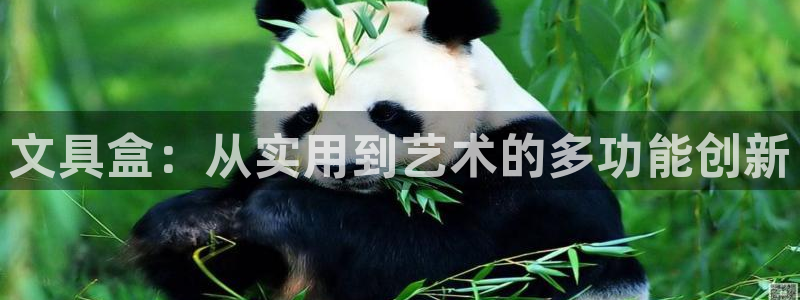 j9九游會(huì )官方網(wǎng)站國際：文具盒：從實(shí)用到