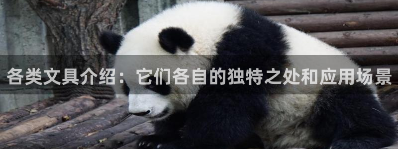 九游會(huì )郵箱：各類(lèi)文具介紹：它們各自的獨特