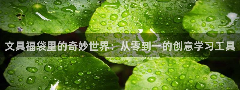九游會(huì )ag網(wǎng)址大全：文具福袋里的奇妙世界