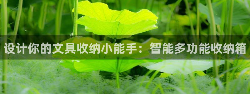 九游會(huì )倒閉了嗎：設計你的文具收納小能手：