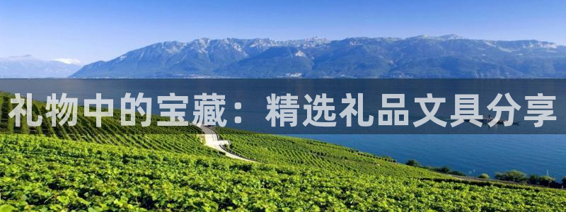 九游會(huì )線(xiàn)上：禮物中的寶藏：精選禮品文具分